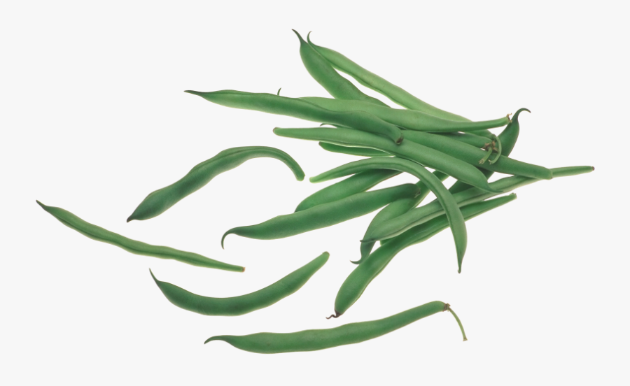 Transparent Bean Png - Green Bean, Transparent Clipart