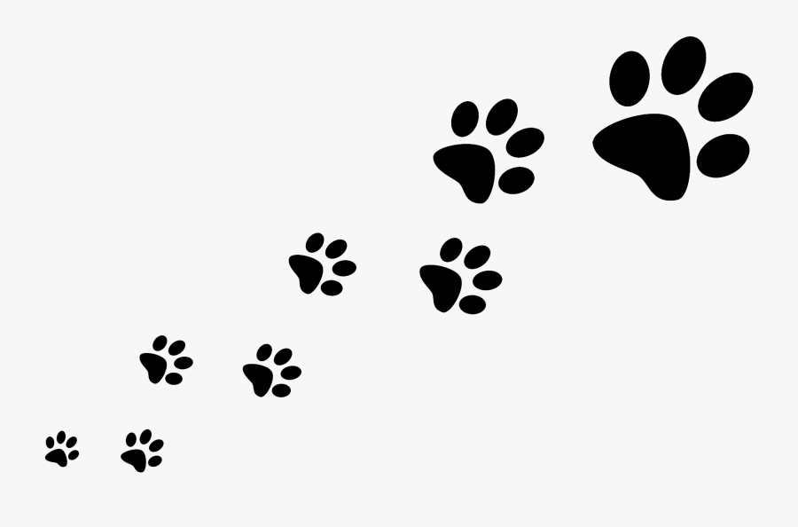 Dog Walking Pet Sitting Cat - Trail Of Paw Prints, Transparent Clipart