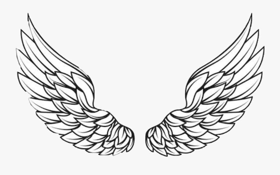 #wings #angelwings #anglewings #love #heaven #halo - Vector Wings Png Logo, Transparent Clipart
