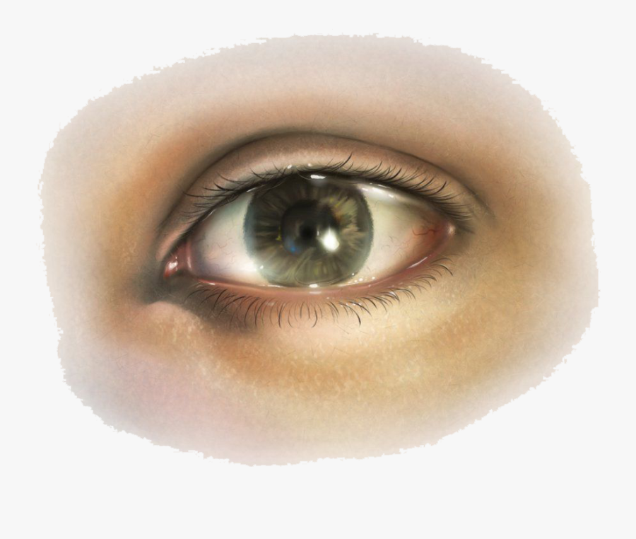 Human Eye Png - Human Eye Transparent Png, Transparent Clipart