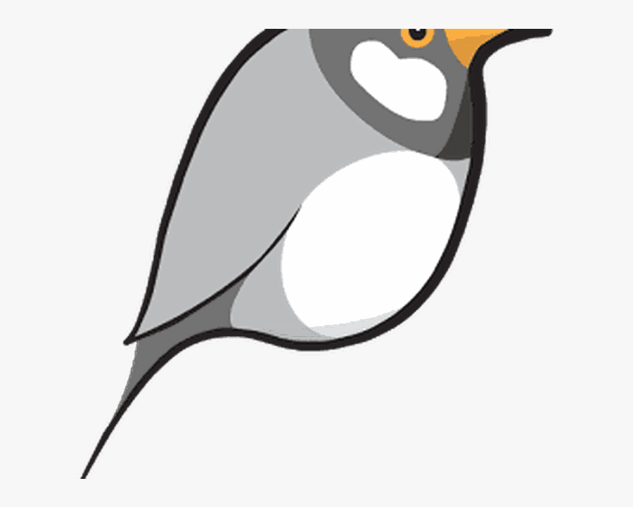 Free & Premium Vpn - Emperor Penguin, Transparent Clipart