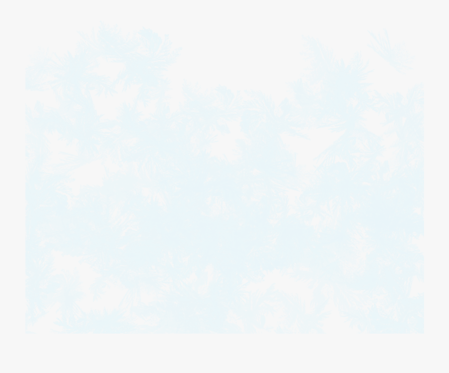 Transparent Frost Clipart - Pond Pine, Transparent Clipart