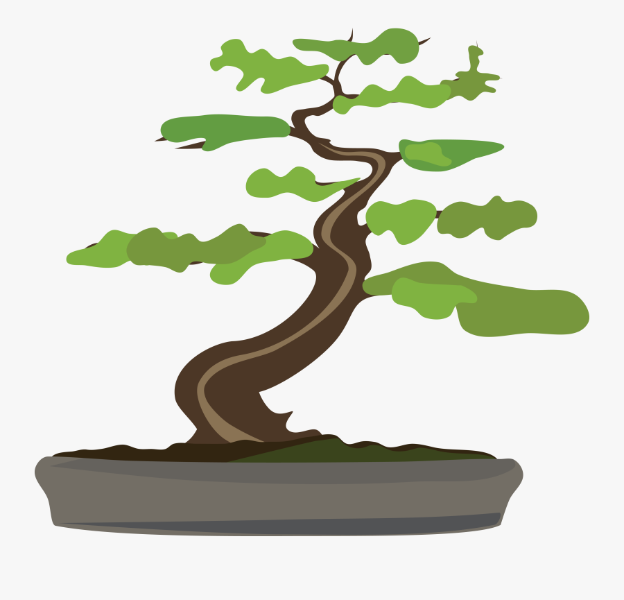 Thumb Image - Transparent Background Bonsai Tree Clipart, Transparent Clipart