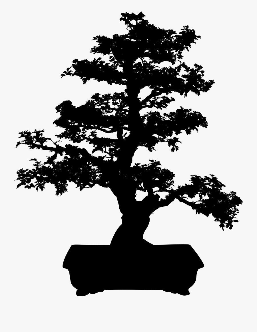 Bonsai Tree Silhouette Clip Art - Bonsai Tree Clip Art, Transparent Clipart