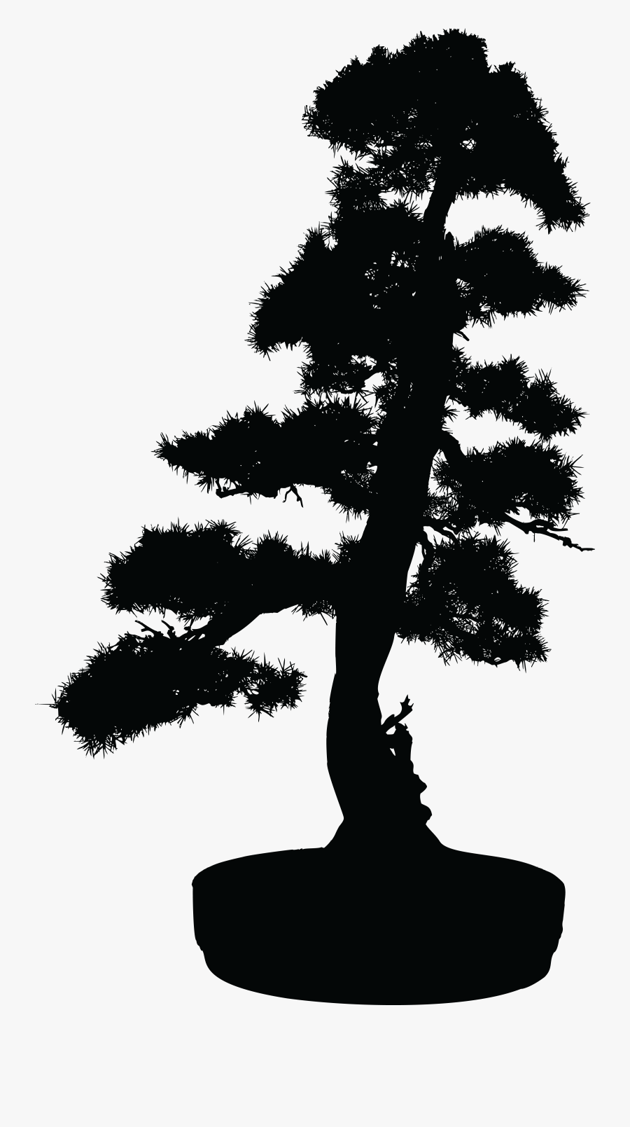 Bonsai,pine Family,plant - Free Bonsai Silhouette Png, Transparent Clipart