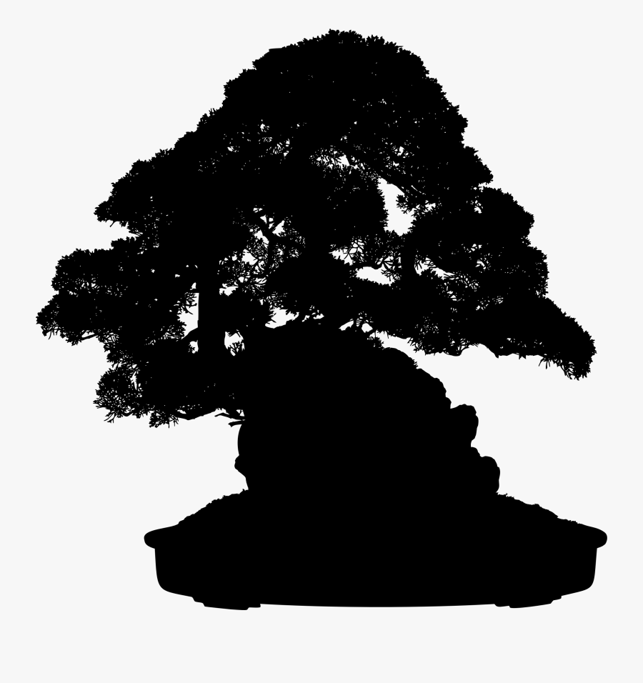 Photography - Bonsai Png, Transparent Clipart