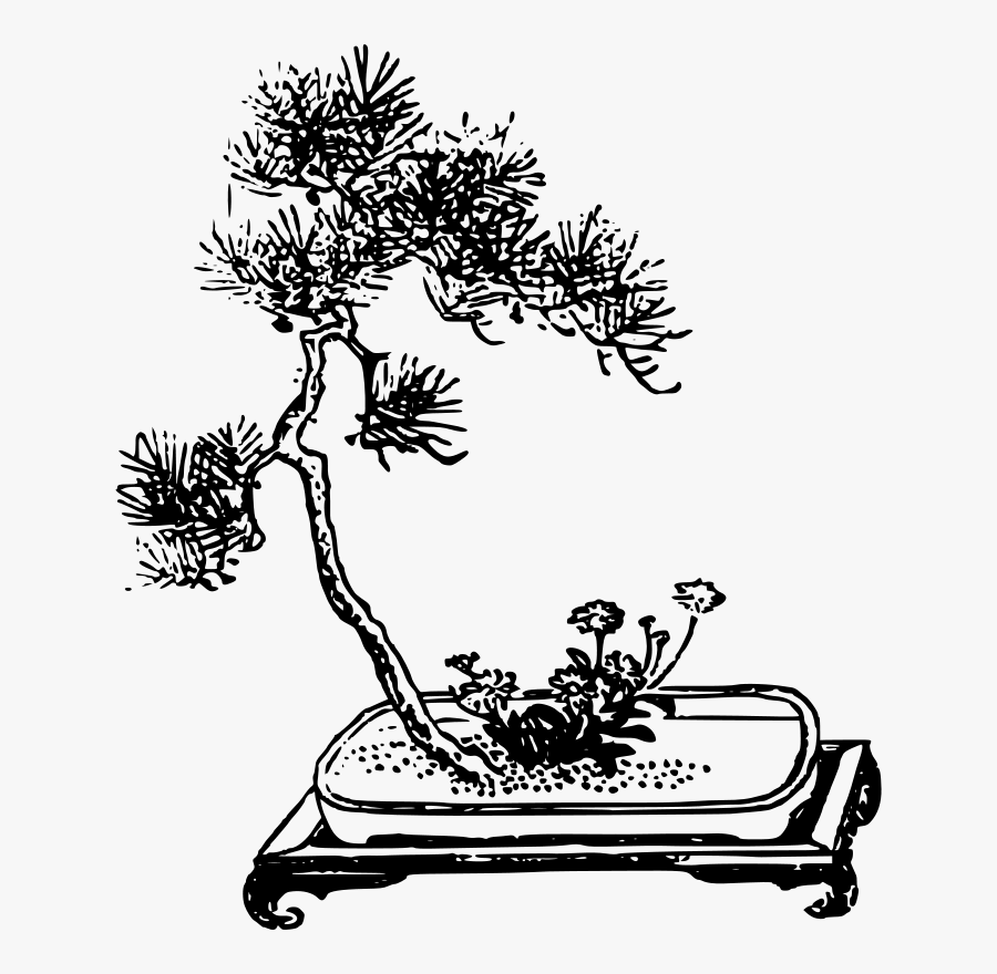 Bonsai With Flower - Bonsai, Transparent Clipart