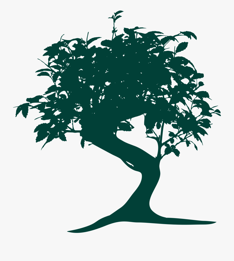 Clipart - Bonsai Tree, Transparent Clipart