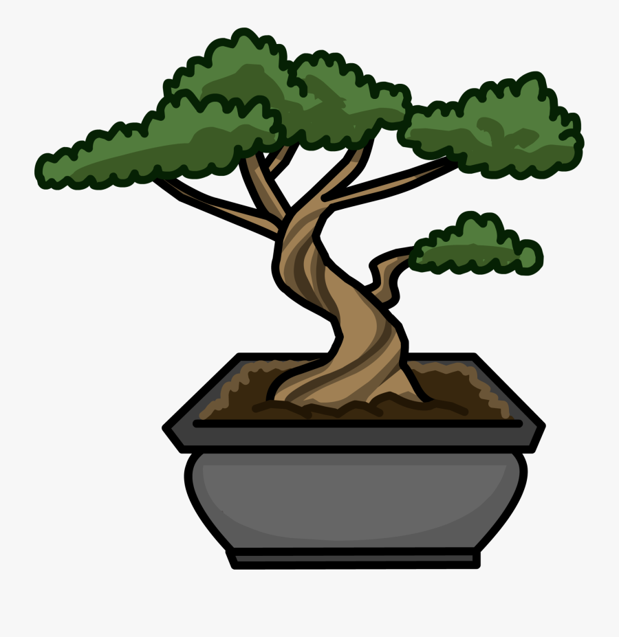 Transparent Bonsai Tree Png - Bonsai Tree Cartoon, Transparent Clipart