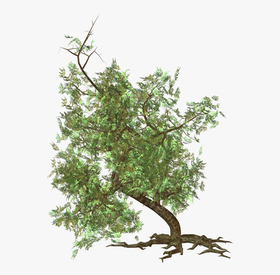 Green Tree Clipart - Arvore Revit, Transparent Clipart
