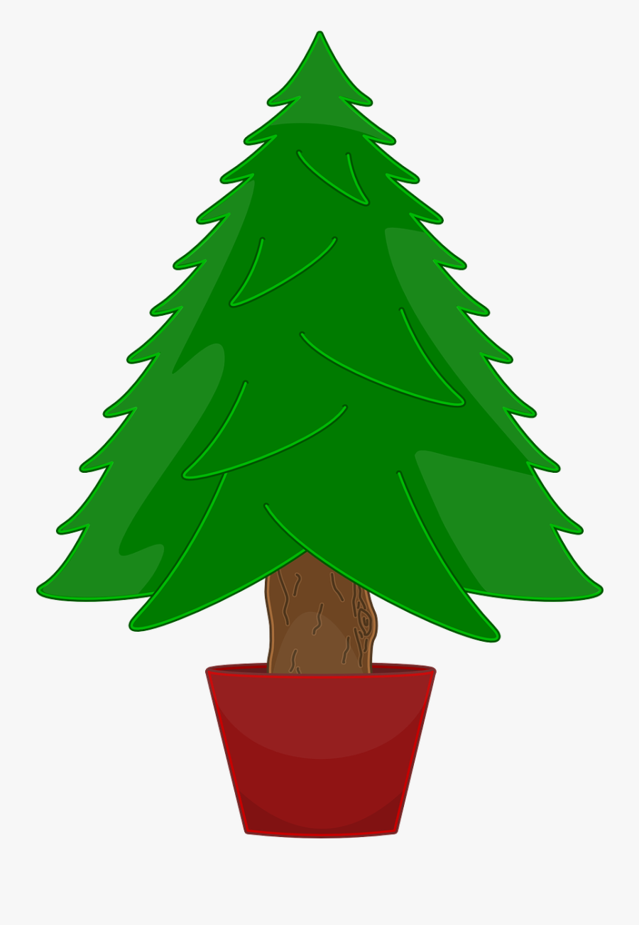 Christmas Tree Not Decorated, Transparent Clipart