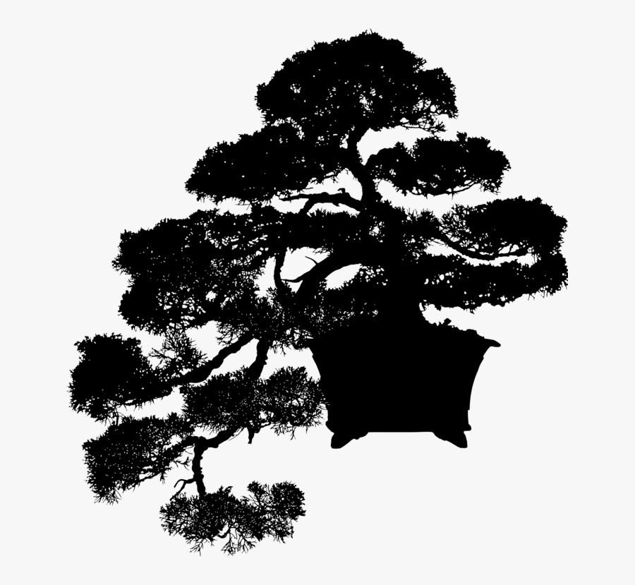 Pine Family,plant,leaf - Arbol Bonsais Png, Transparent Clipart