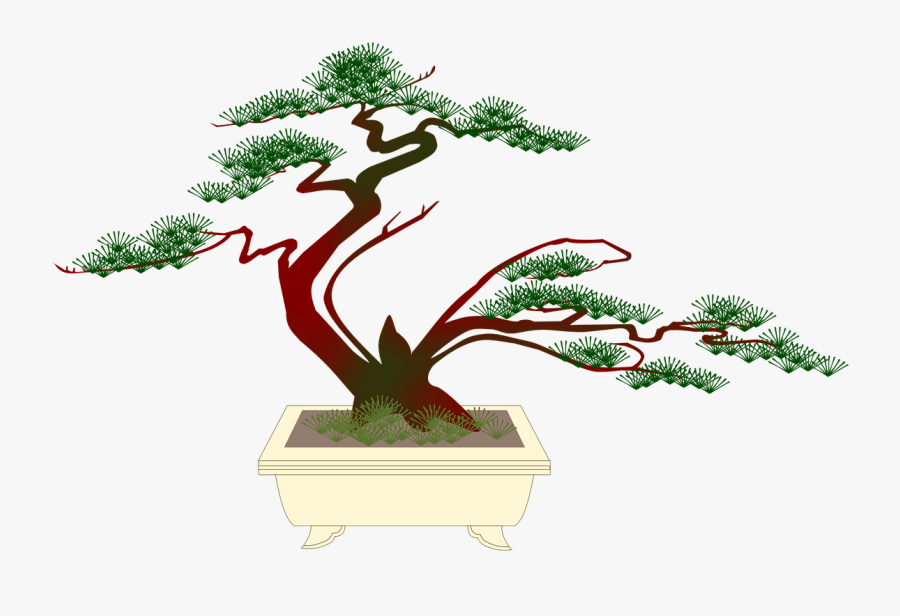 Schouseplants Culturaljapan Object Bonsai Tree Freetoedit - Japanese Bonsai Cartoon, Transparent Clipart