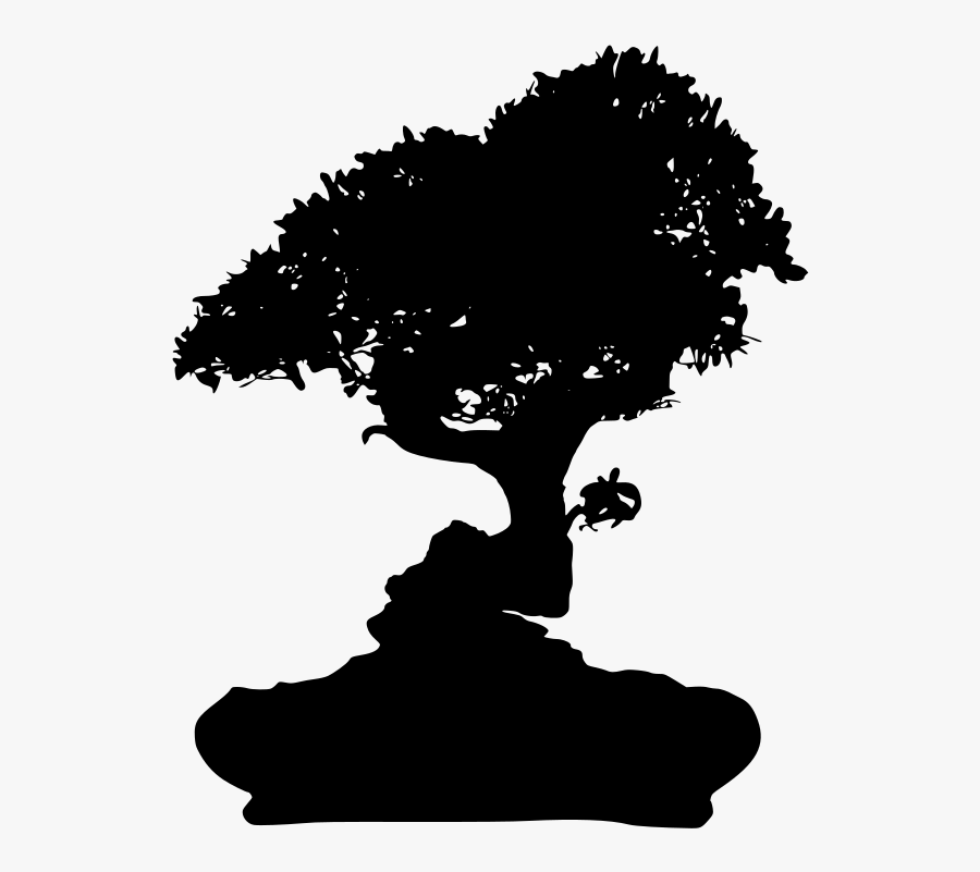 Transparent Bonsai Png - Bonsai Tree Transparent Background, Transparent Clipart