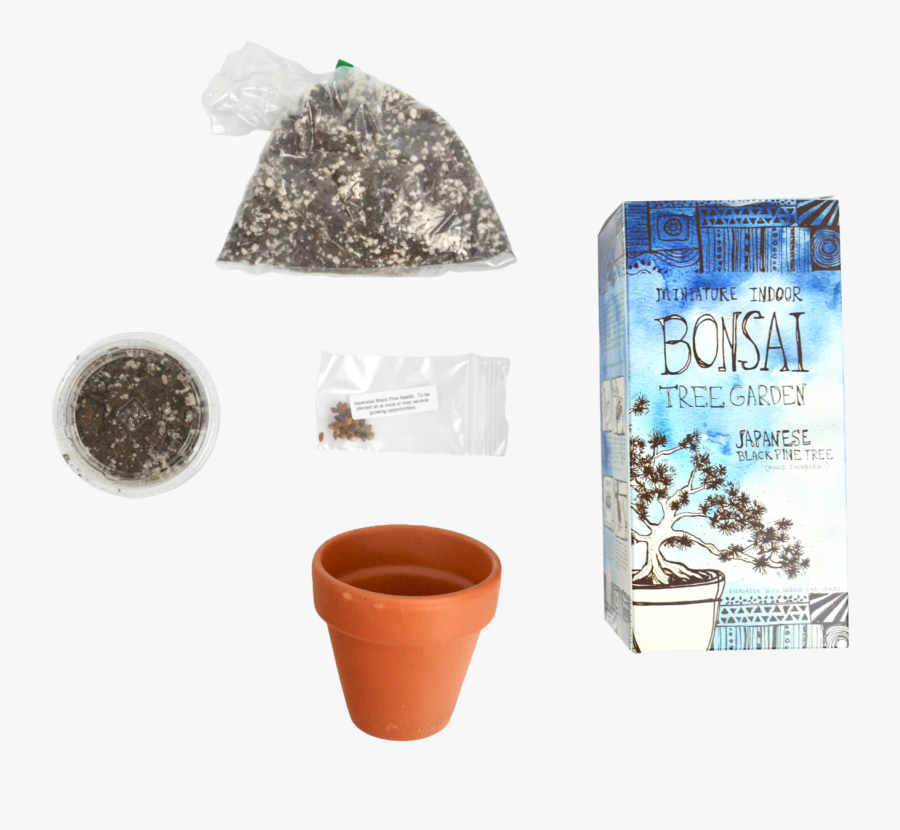 Diy Miniature Indoor Bonsai Tree Garden - Bonsai, Transparent Clipart