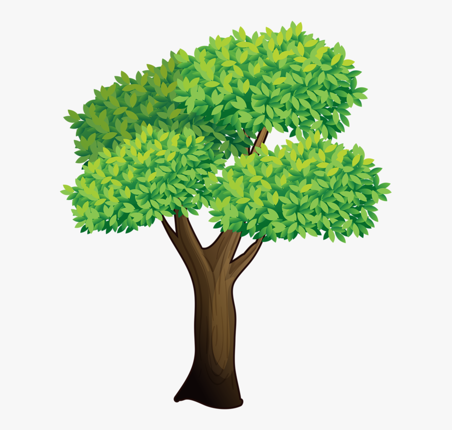 Banyan, Transparent Clipart