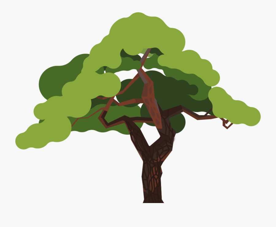Oak, Transparent Clipart