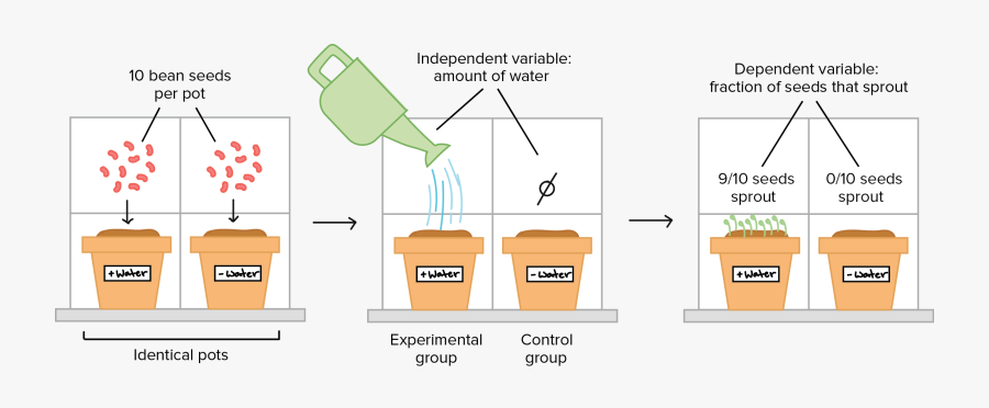 Way Clipart Control Science - Controlled Experiment Science Clipart, Transparent Clipart