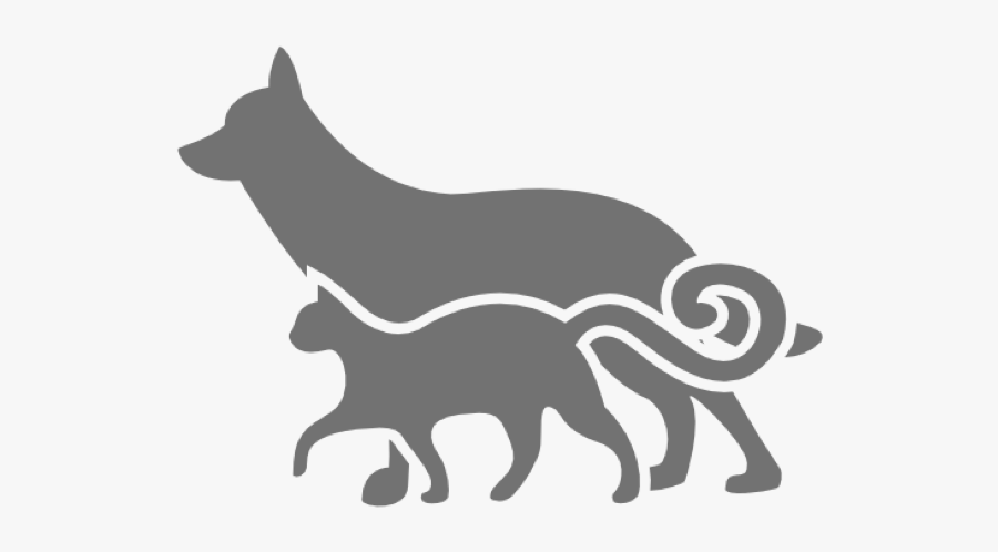 Grey Cat And Dog - Intellectual Groomers Association Member, Transparent Clipart