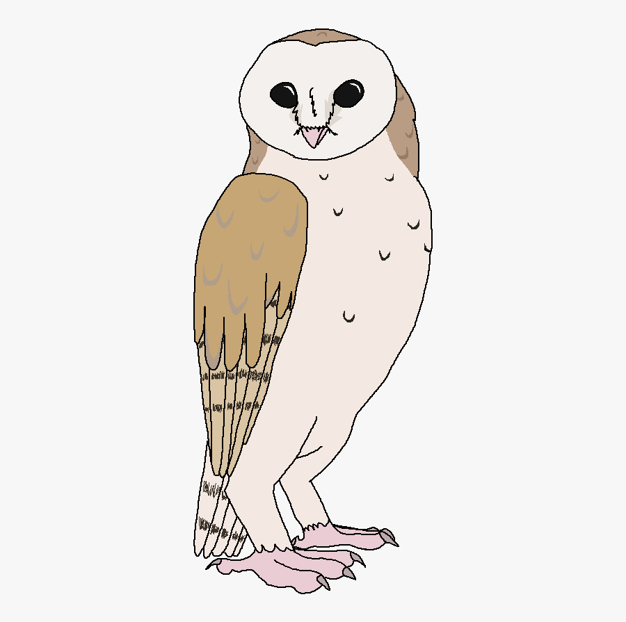 Marvellous Baby Barn Owl Sounds Regarding House Great - Owl, Transparent Clipart