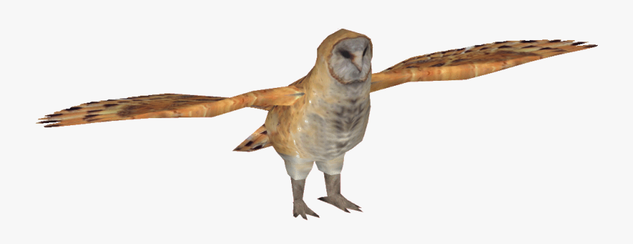 Barn Owl Png - Zoo Tycoon 2 Owl Zt2, Transparent Clipart