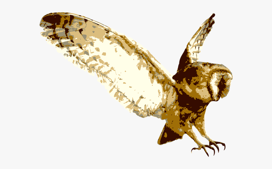 Woodlands Family Theme Park, Transparent Clipart