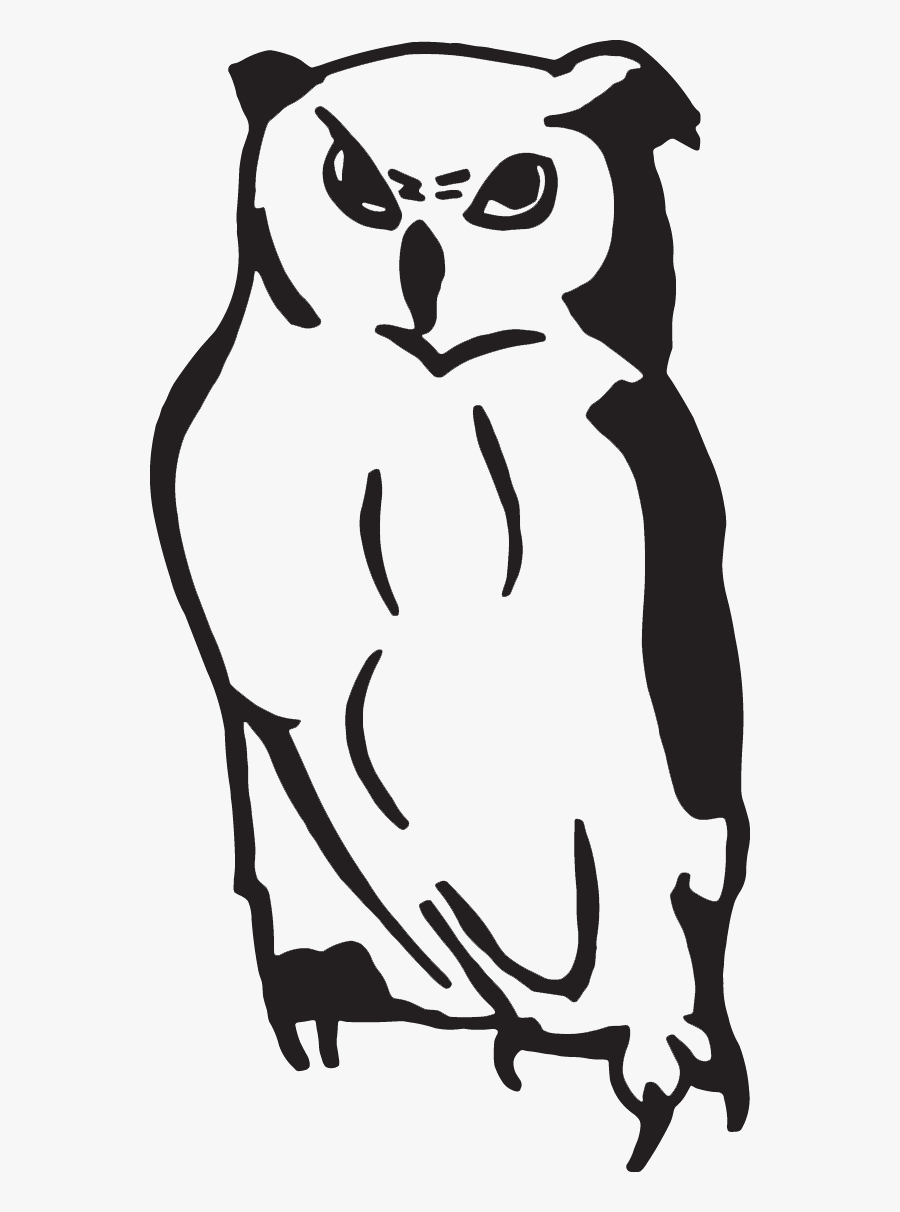 Barn Owl Decal, Transparent Clipart