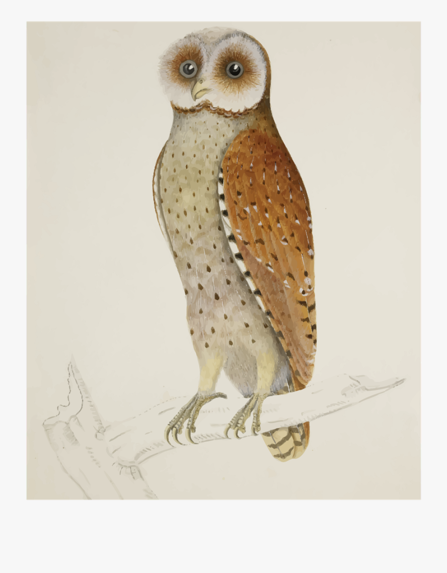 You Can Do Difficult Things, Transparent Clipart