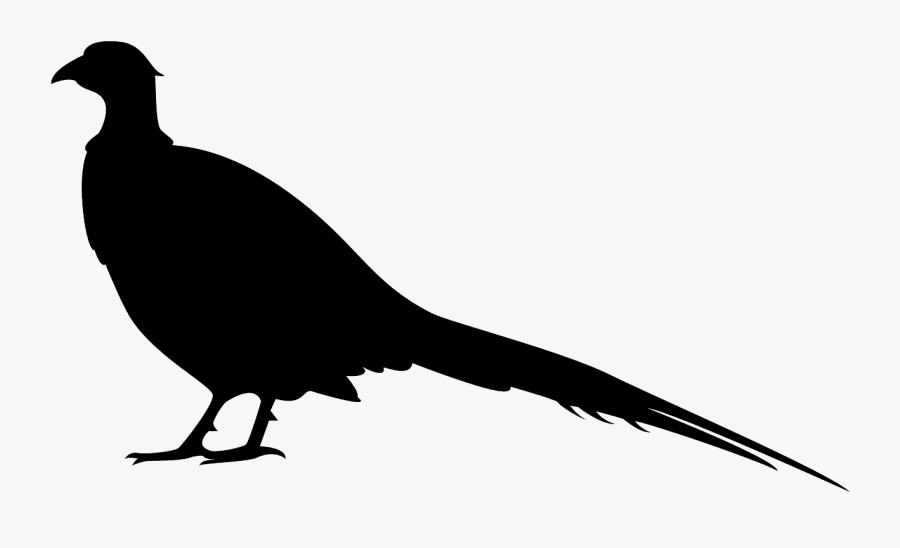 Silhouette Of A Pheasant, Transparent Clipart