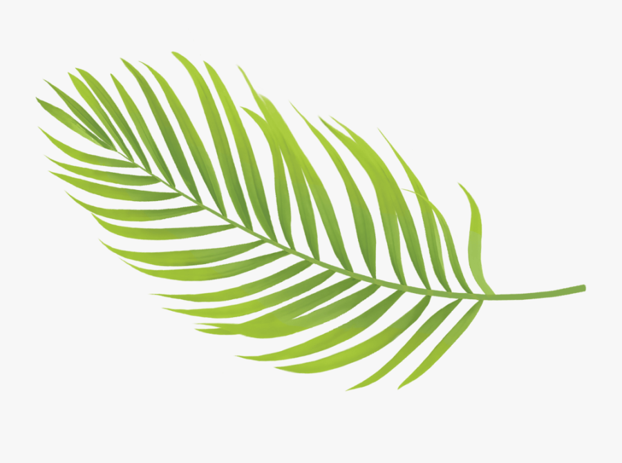 This Year, We"re Beyond Excited To Team Up With The - Illustration, Transparent Clipart