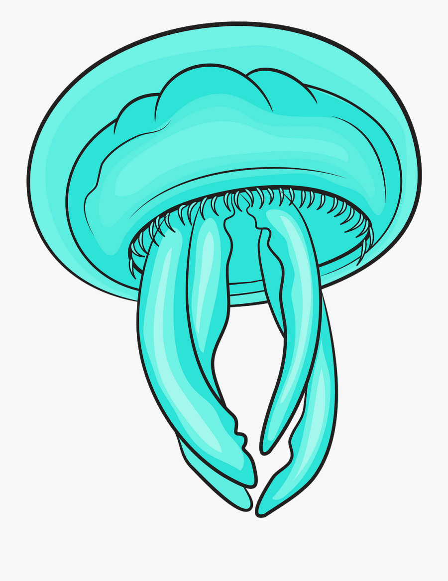 Clip Art, Transparent Clipart