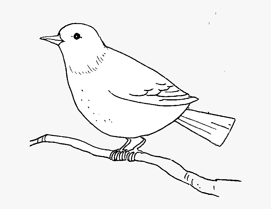 Bird Outline Of Birds Clipart Abeoncliparts Cliparts - Illustration, Transparent Clipart
