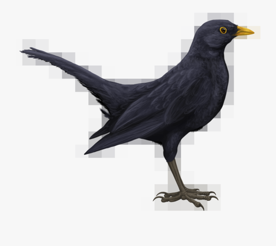 Blackbird Png Hd - Blackbird Clipart, Transparent Clipart