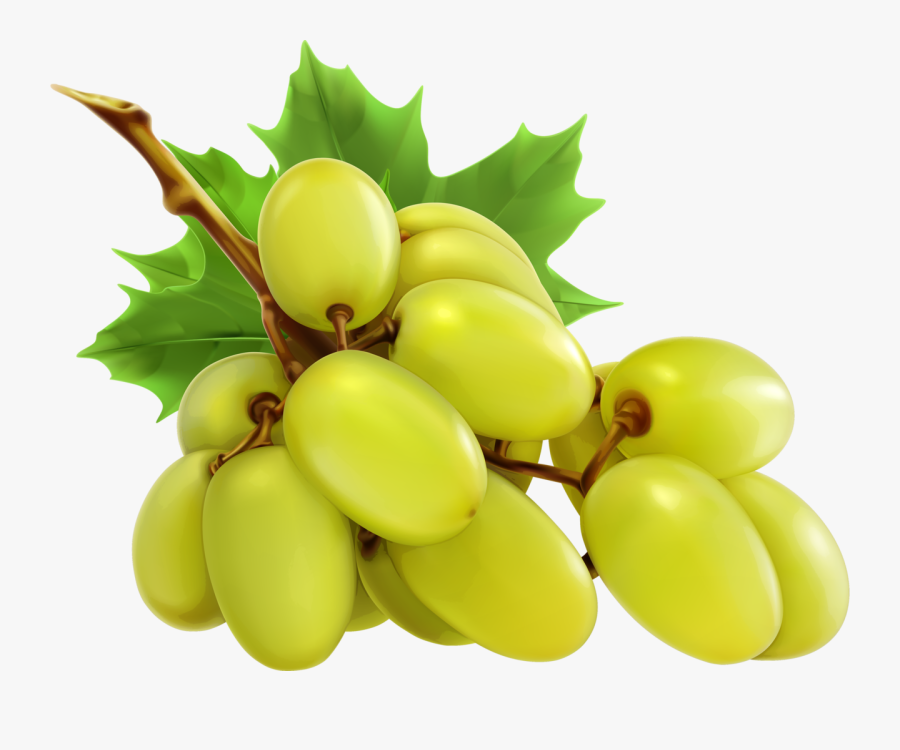 Transparent Grapes Black And White Clipart - Fruit Psdkeys, Transparent Clipart