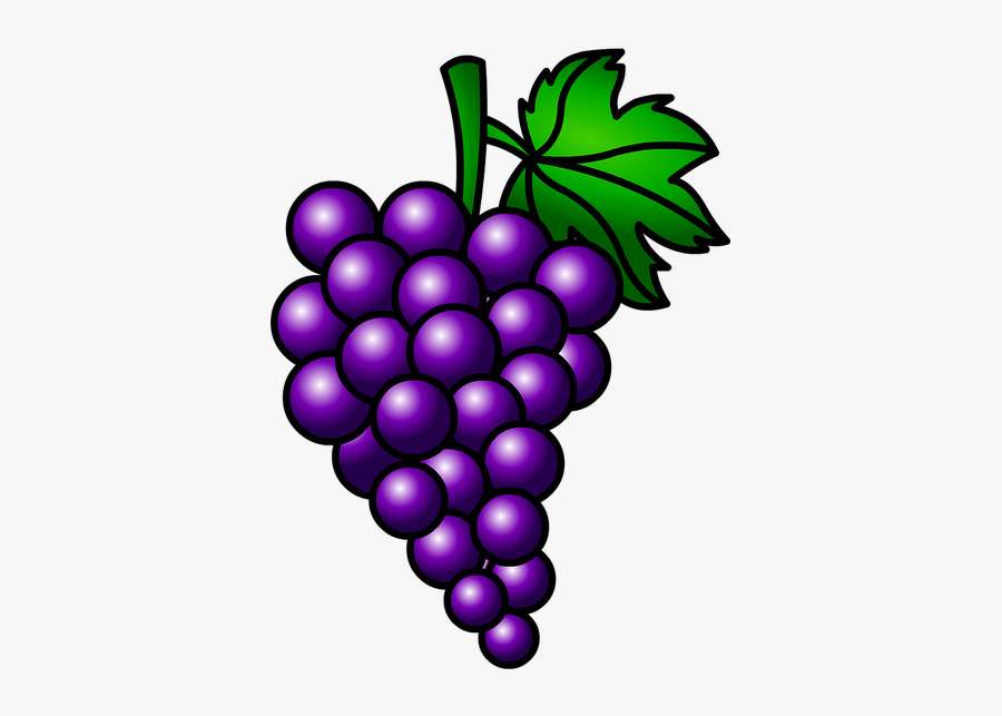 Grapes, Fruit, Cluster - Racimo De Uvas Moradas, Transparent Clipart
