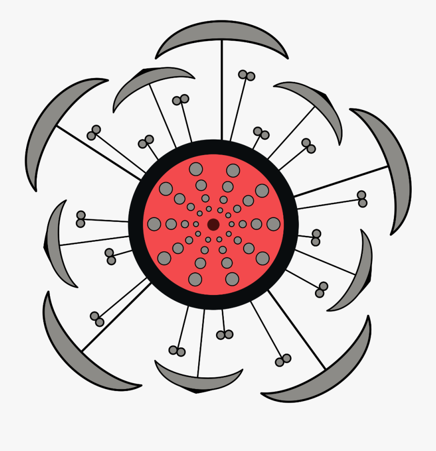 Floral Diagram Of Hibiscus Clipart , Png Download - Floral Diagram For Rose, Transparent Clipart