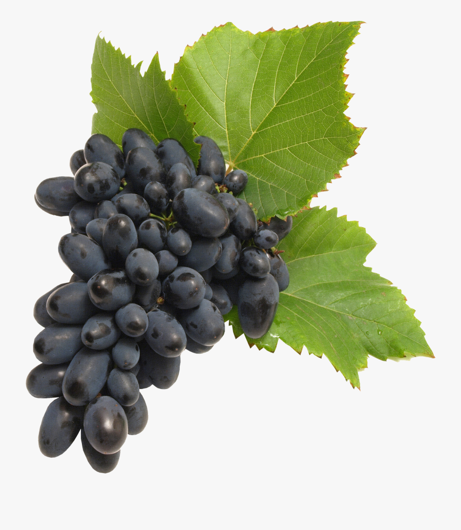 Currant - Transparent Background Grapes Png, Transparent Clipart
