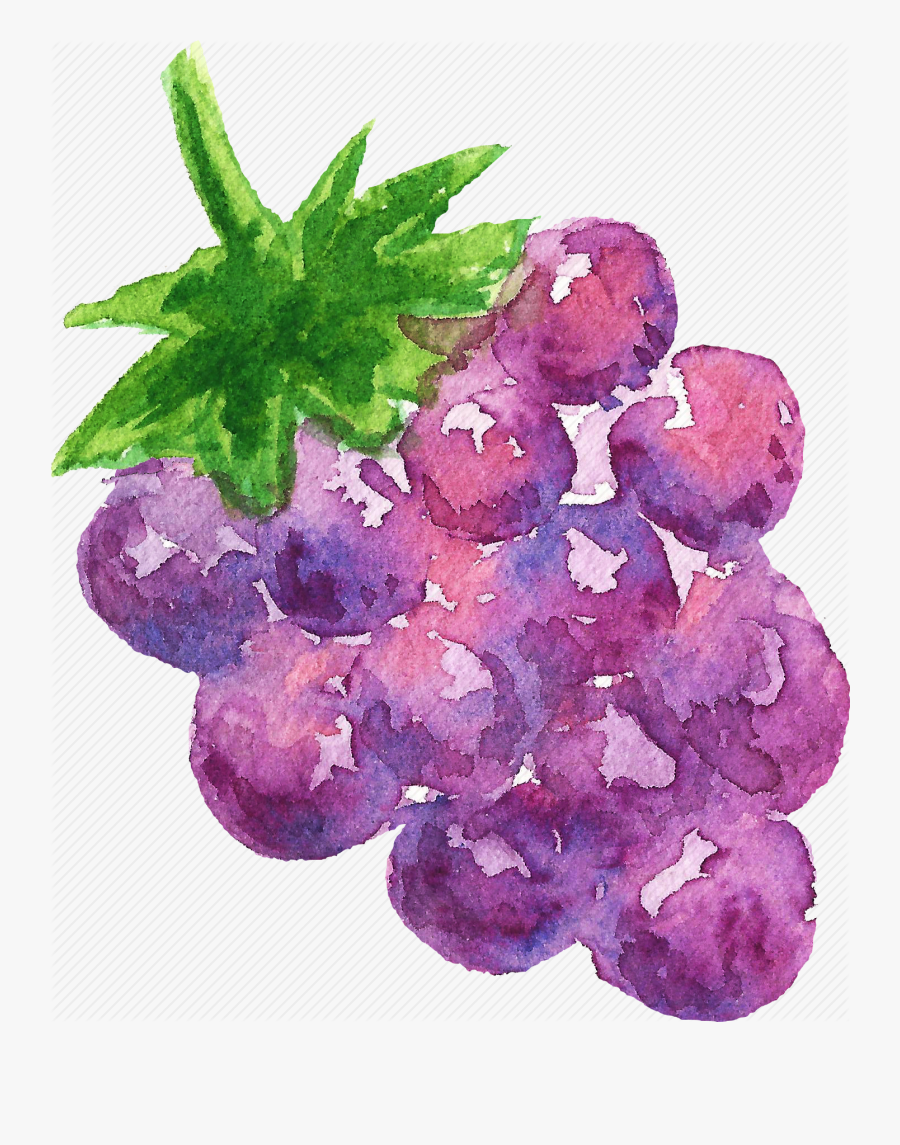 Cuisine Food Fruit Fruits Grape Watercolor Watercolors Watercolor Paint Free Transparent Clipart Clipartkey