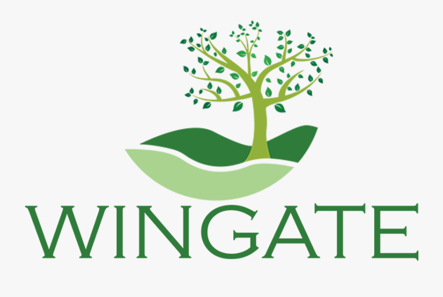 Construction, Transparent Clipart