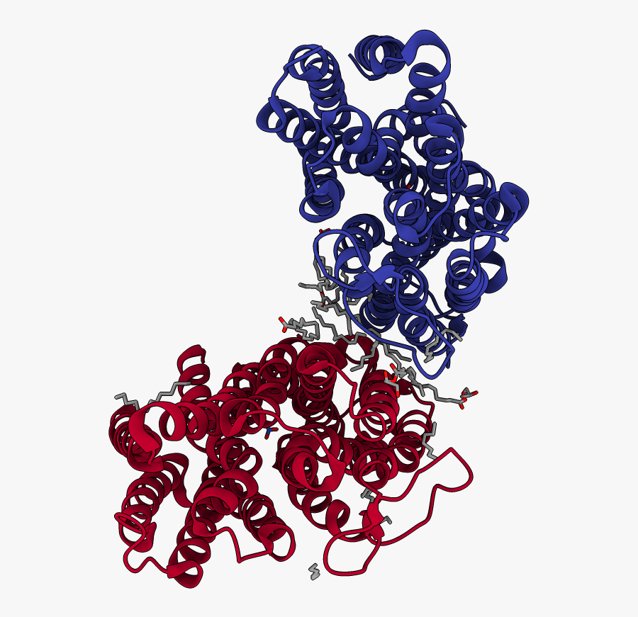 Illustration, Transparent Clipart