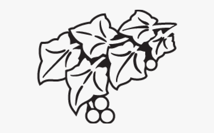 Drawing, Transparent Clipart