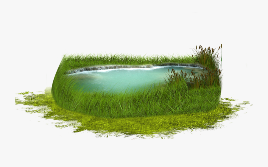 Portable Network Graphics, Transparent Clipart