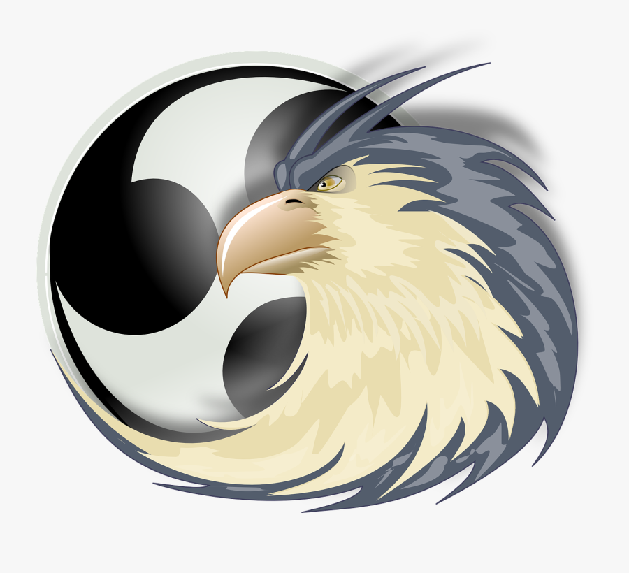 Ave De Rapina Desenho, Transparent Clipart