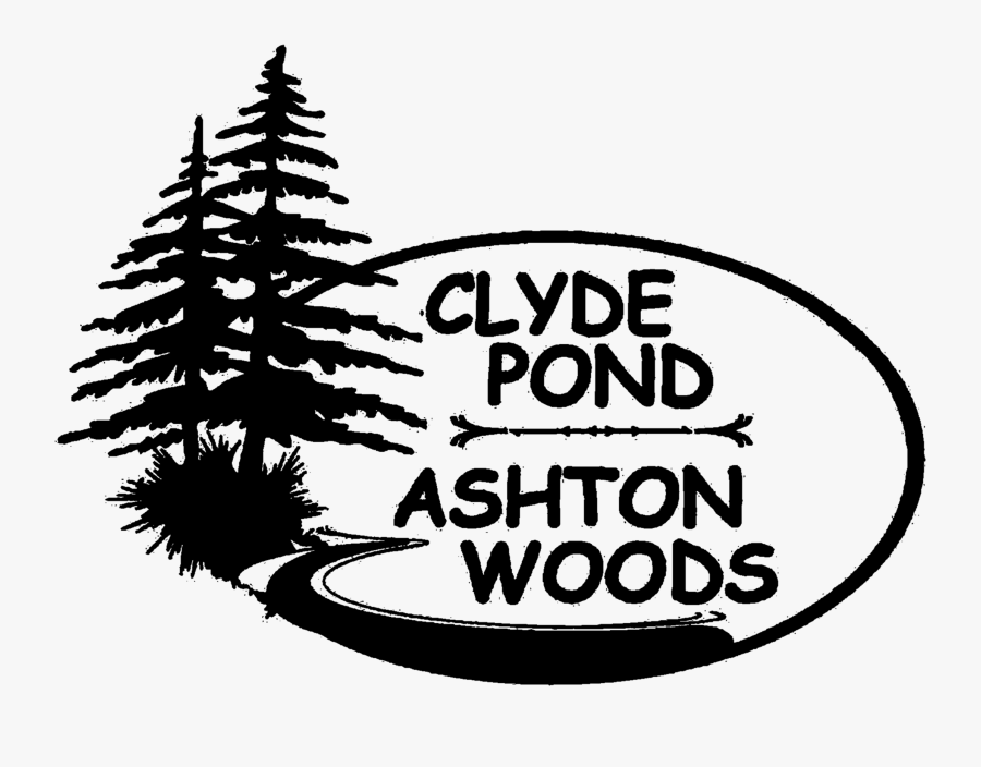 Lake Clipart Spring Pond - Gomez Pine Straw, Transparent Clipart