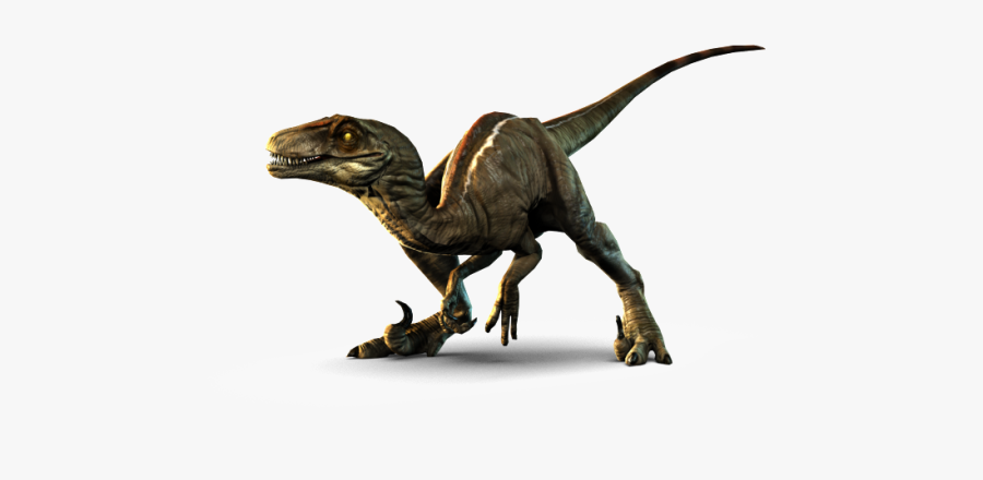 Baby Velociraptor Png - Primal Carnage, Transparent Clipart