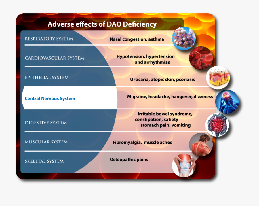 Adverse Effects Of Ao Deficiency - Deficit De Dao Dieta, Transparent Clipart