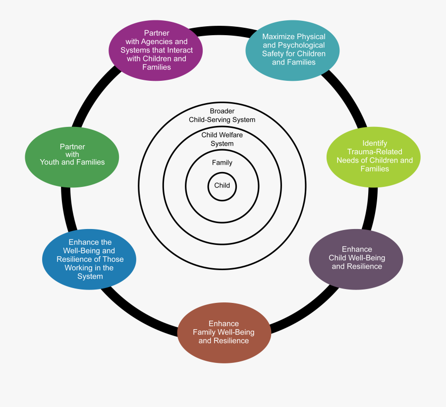 Essential Elements Of A - Trauma Informed Child Welfare, Transparent Clipart