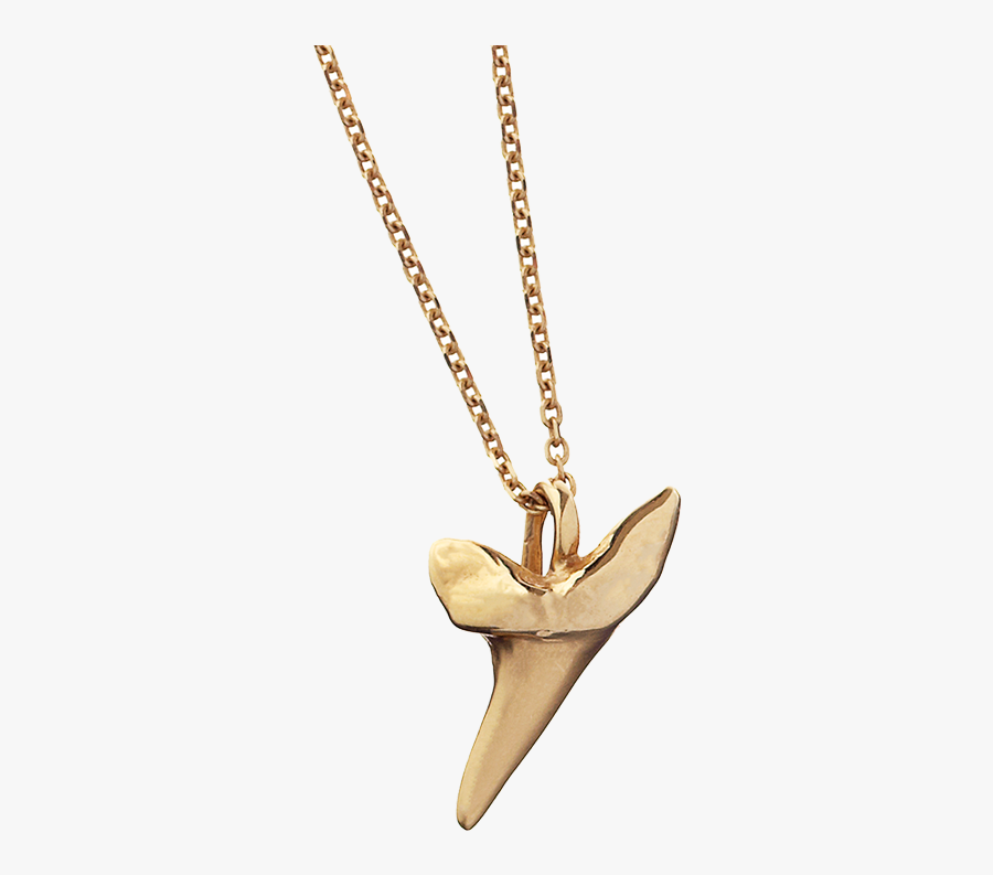 Shark Tooth Pendant Gold, Transparent Clipart