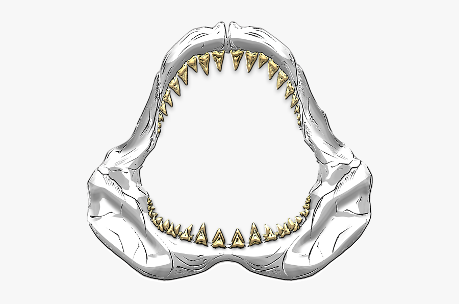 Life Clipart Jaws - Great White Shark Jaws Drawing, Transparent Clipart