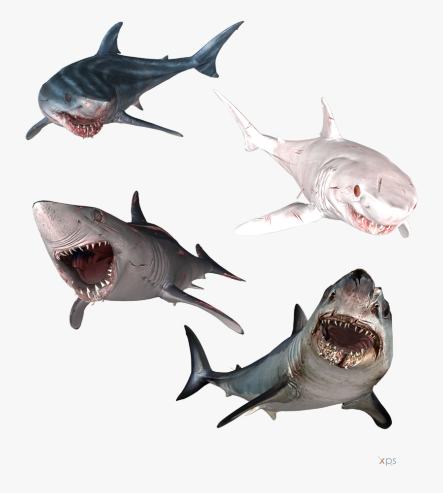 Depth Shark Drawing, Transparent Clipart